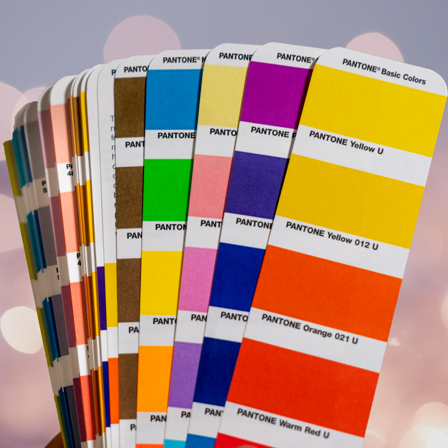 Picture of a pantone matching system swatch book